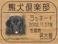 ���R�}�}����̂g�o�ւf�n�I